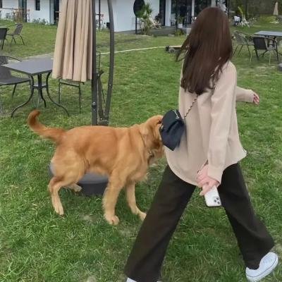 无眼杀手